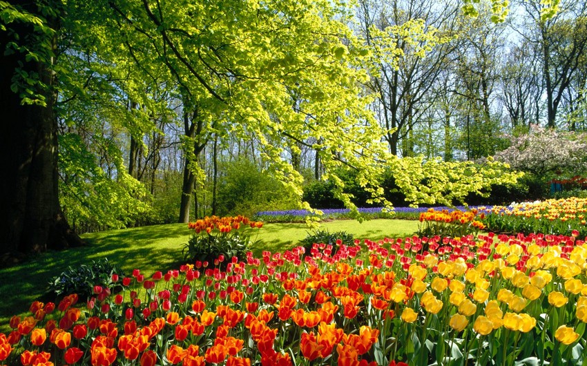 Azerbaijan welcomes spring today