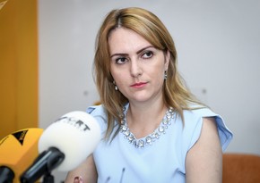 Лаврина: Если в Ереване есть здравомыслящие люди, то должны подтолкнуть свое руководство к подписанию мира с Баку