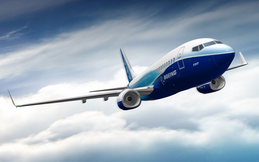 В России пассажирский самолет Boeing 737 совершил вынужденную посадку