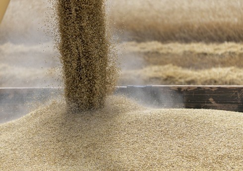 В Женеве 9 июня пройдут консультации РФ-ООН по зерновой сделке