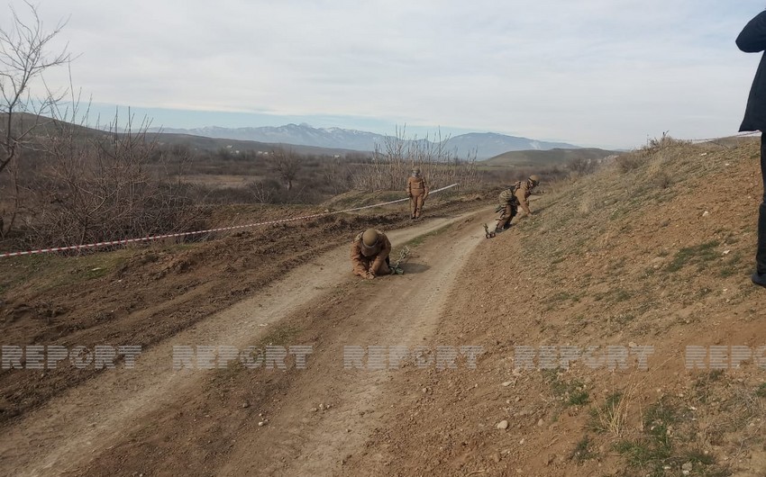 2292 hectares of land in liberated areas cleared of mines
