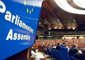 Head of Georgian Parliament's delegation to PACE sends letter to Theodoros Rousopoulos