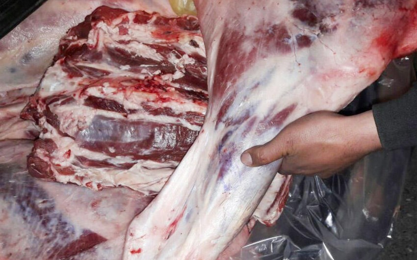 Совместный рейд МВД и АПБА в Гёйчае, обнаружено полтонны подозрительного мяса