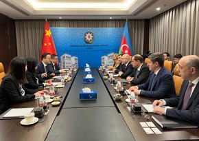 Azerbaijan, Chinese companies mull expanding green energy cooperation