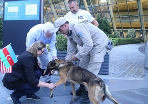 Two more demining dogs brought from US to Azerbaijan