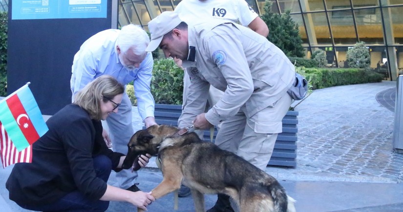 Two more demining dogs brought from US to Azerbaijan