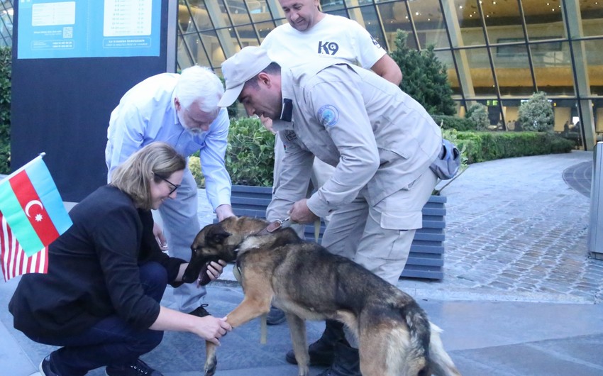 Two more demining dogs brought from US to Azerbaijan