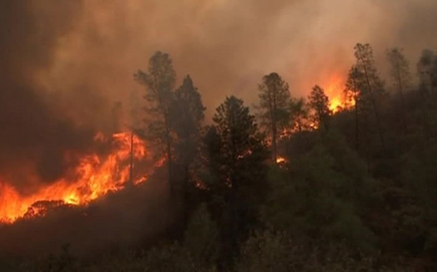 Large wildfire breaks out on Jerusalem outskirts