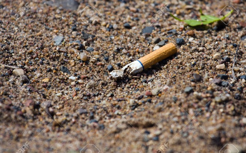 Azerbaijani parliament adopts draft amendment on fining those dropping cigarette ends on ground