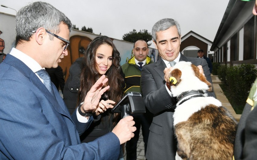 Состоялось открытие Центра заботы о бездомных собаках Топлан