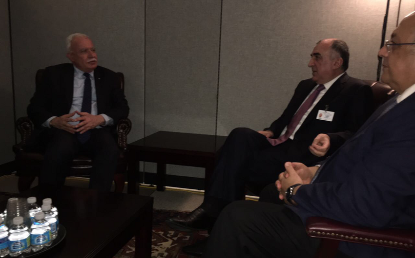 Эльмар Мамедъяров встретился с министром иностранных дел Палестины