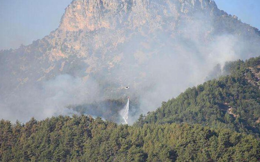 Another forest fire breaks out in Turkey 