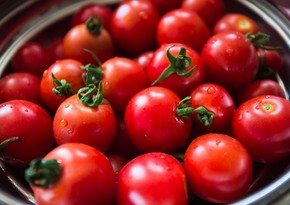 Azerbaijan's revenues from tomato export down by 7%