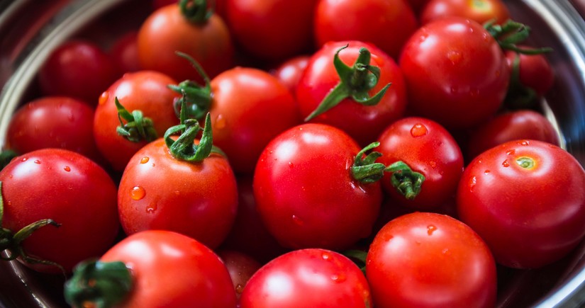 Azərbaycan Almaniyaya pomidor ixracını bərpa edib