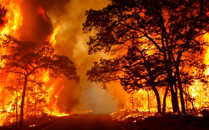 At least 2 killed in massive wildfire in Texas