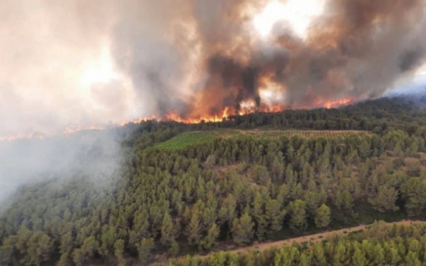 Fransada meşə yanğınları nəticəsində 2 nəfər ölüb