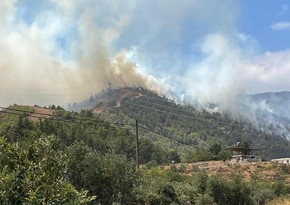 Eighteen bodies found in Greek forest hit by fire