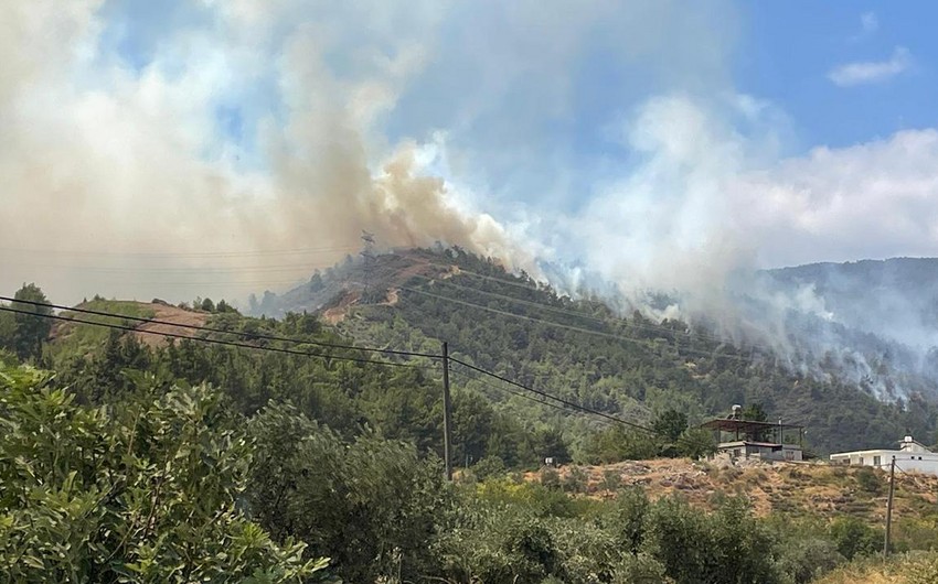 Eighteen bodies found in Greek forest hit by fire