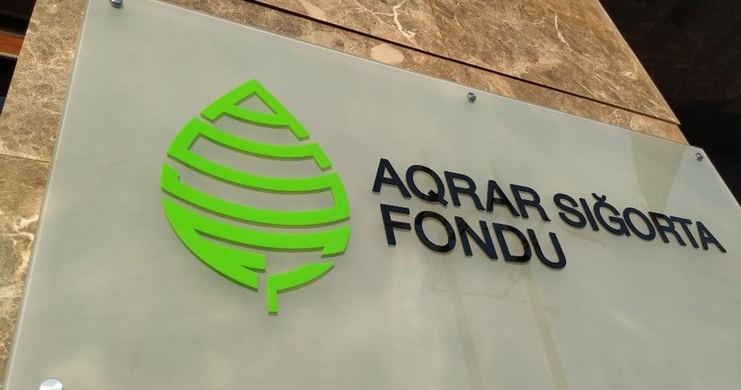 Aqrar Sığorta Fonduna müraciətlərin sayı 40 %-dən çox artıb