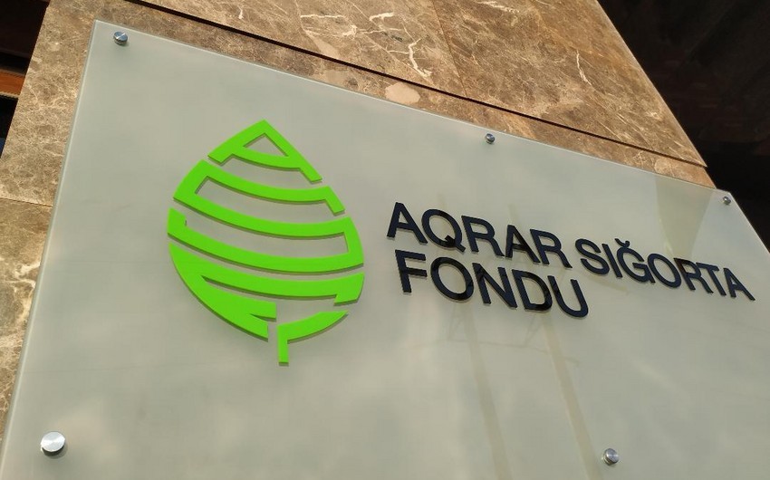 Aqrar Sığorta Fonduna müraciətlərin sayı 40 %-dən çox artıb