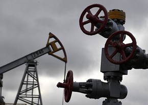 İraqlı nazir: “OPEC+” ölkələrinin neft hasilatını azaldacağı barədə danışmaq hələ tezdir” 