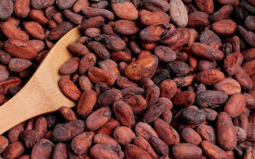 Kakao paxlasının qiyməti tarixdə ilk dəfə olaraq 10 min dolları ötüb