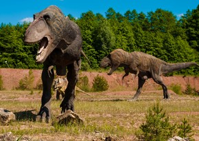 New study suggests volcanic eruptions contributed to dinosaur extinction
