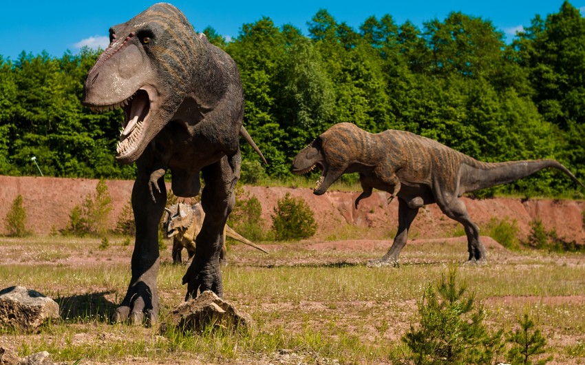 Alimlər dinozavrların kütləvi ölüm səbəbi ilə bağlı yeni versiyanı açıqlayıblar