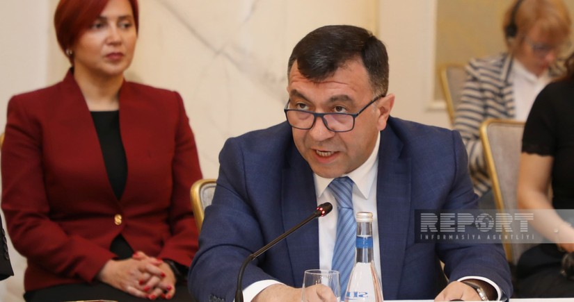 Deputy minister of economy: Hungarian companies active in Azerbaijan