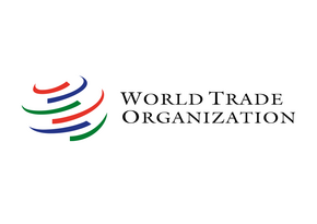 WTO to support trade-oriented events in Azerbaijan within COP29 framework