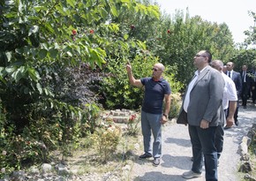  Kənd təsərrüfatı naziri Şəkidə təsərrüfatlara baş çəkib