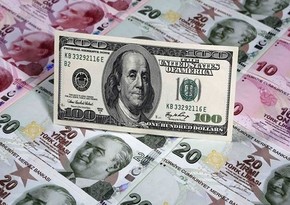 Experts predict USD rate will stabilize in Turkey