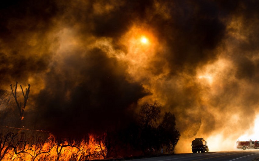 В Чили от лесных пожаров погибли шесть человек