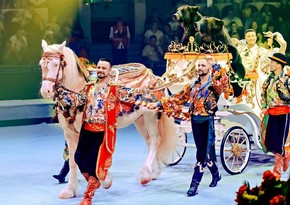 Russian parliament to consider banning animal performances in circuses