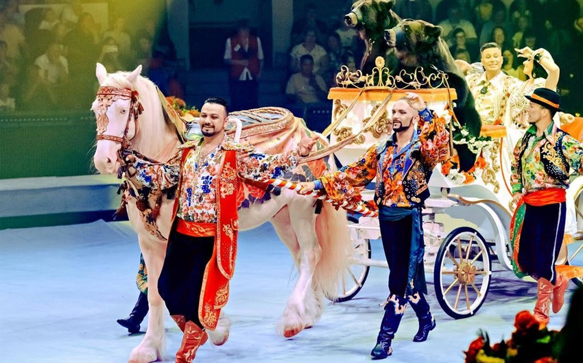 Russian parliament to consider banning animal performances in circuses