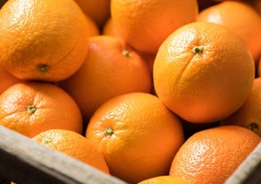 Азербайджан начал поставки апельсинов из Кипра