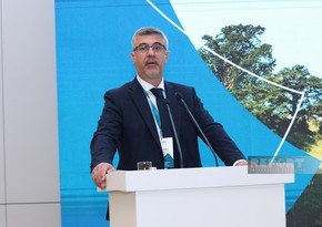 Ambassador: Hungary grateful to Azerbaijan for Baku Global Transparency Platform