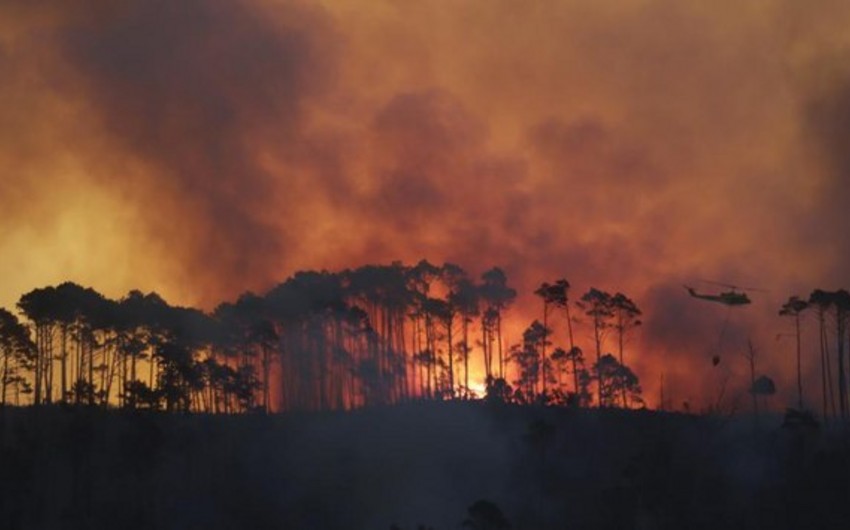 Девять человек погибли и тысячи лишились крова в результате лесных пожаров в ЮАР