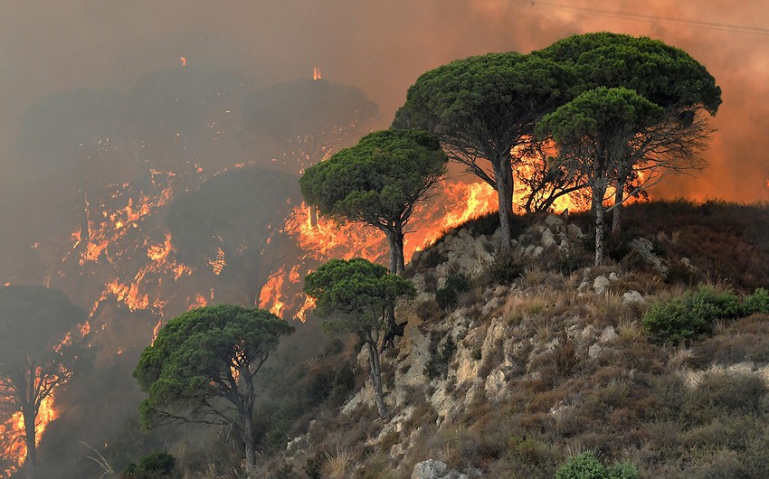 На Сицилии на фоне природных пожаров поймали поджигателей