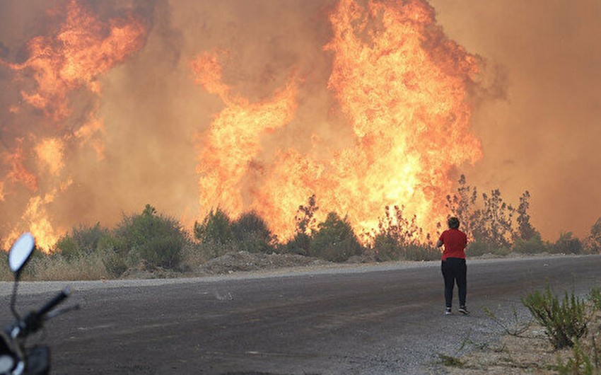 Дети огня взяли на себя ответственность за поджог лесов в Турции