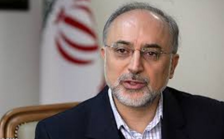 Салехи: Иран получил 197 тонн уранового концентрата