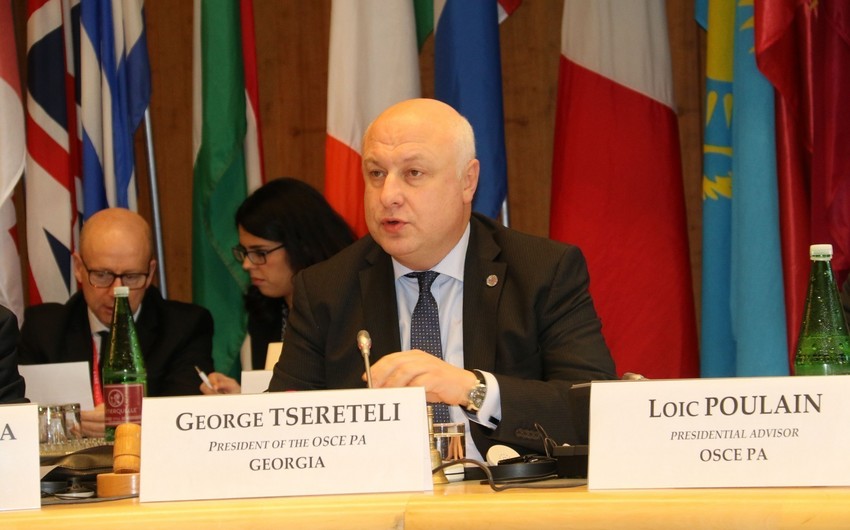 Председатель ПА ОБСЕ: Мы поддерживаем усилия Азербайджана