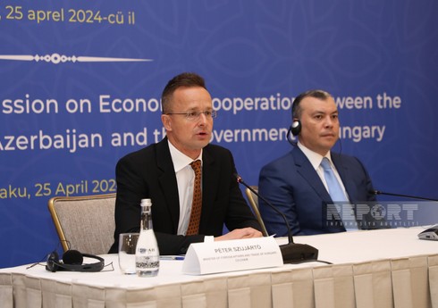 Сийярто: Правительство Венгрии профинансирует строительство завода Hell в Азербайджане 