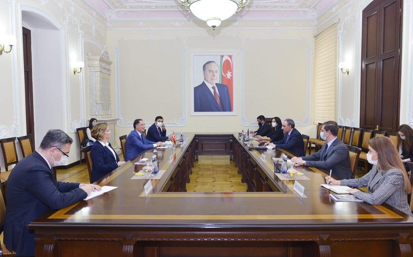 Kamran Əliyev Türkiyənin Baş Ombudsmanı ilə görüşüb