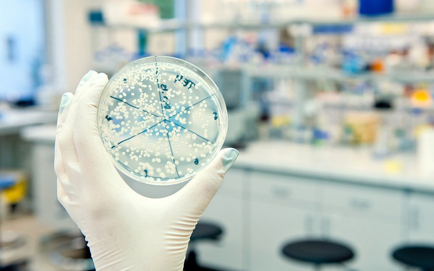 ВОЗ предупредила о возможности распространения нового коронавируса за пределами Китая
