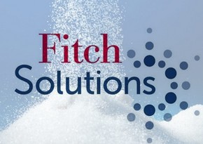 Fitch Solutions names key factors in tourism promotion in 2025