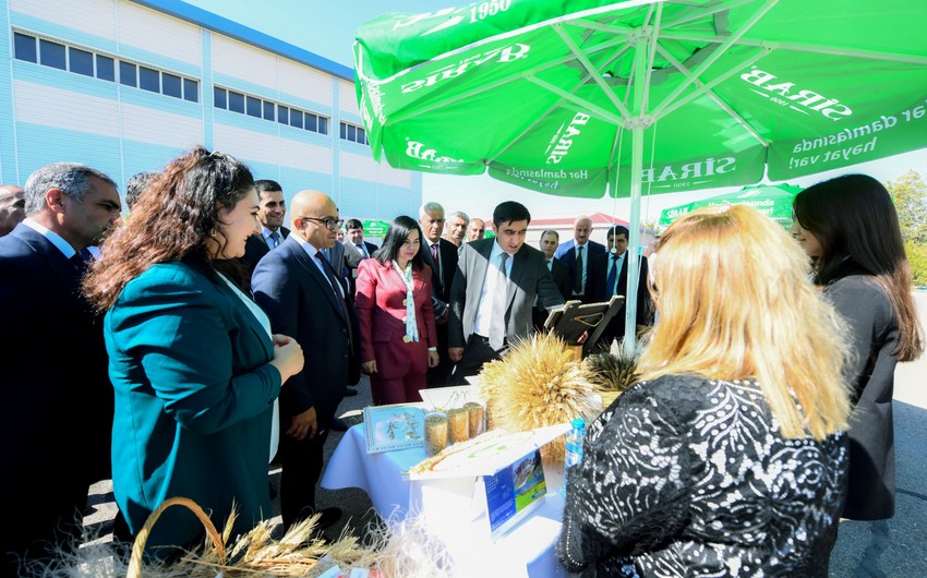 Naxçıvanda toxum sərgi-satış yarmarkası keçirilib