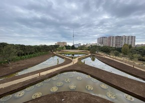 Baku's revamped Central Botanical Garden to welcome visitors soon