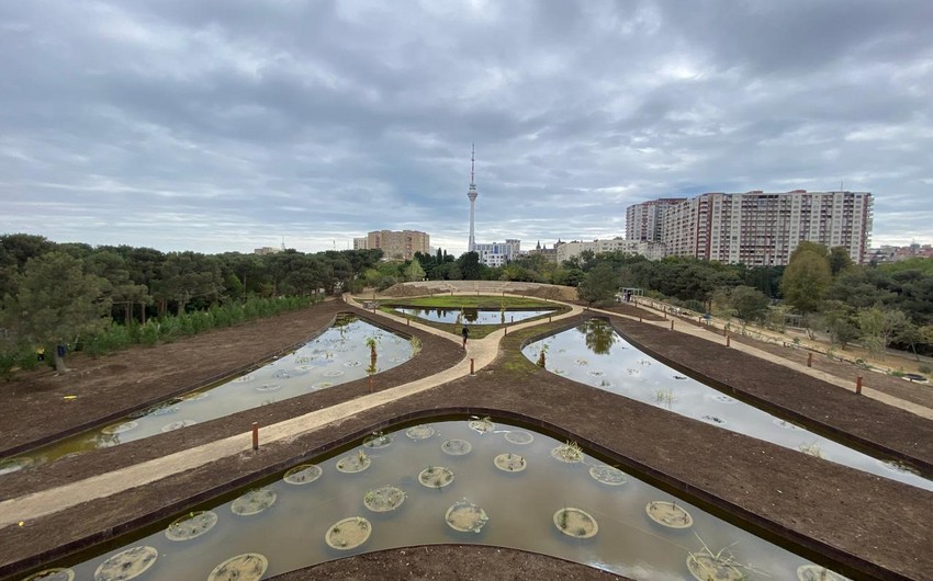 Baku's revamped Central Botanical Garden to welcome visitors soon