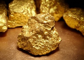 Британская компания обнародовала прогноз добычи золота и меди на этот год